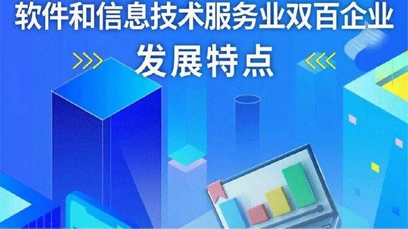 ERP实施顾问与IT咨询师：职能差异与职业定位